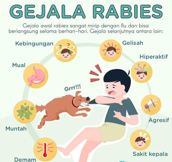 Dinkes Ajak Masyarakat Cegah Penyakit Rebeis