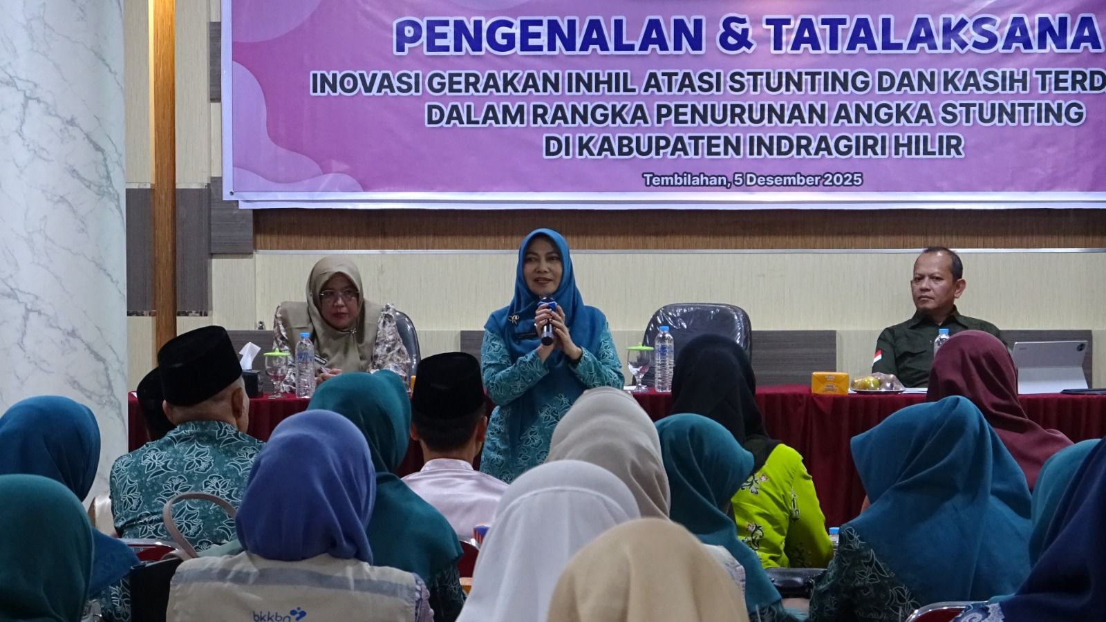 Ketua TP  PKK Inhil Hj. Katerina Susanti Hadiri Sosialisasi Inovasi Gintas Dan Kasih Terdahsyat
