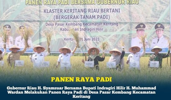 Panen Raya Padi Bersama Gubernur Riau, Bupati Inhil H. Muhammad Wardan Harapkan Pemprov Riau Bisa Terus Mensupport Petani